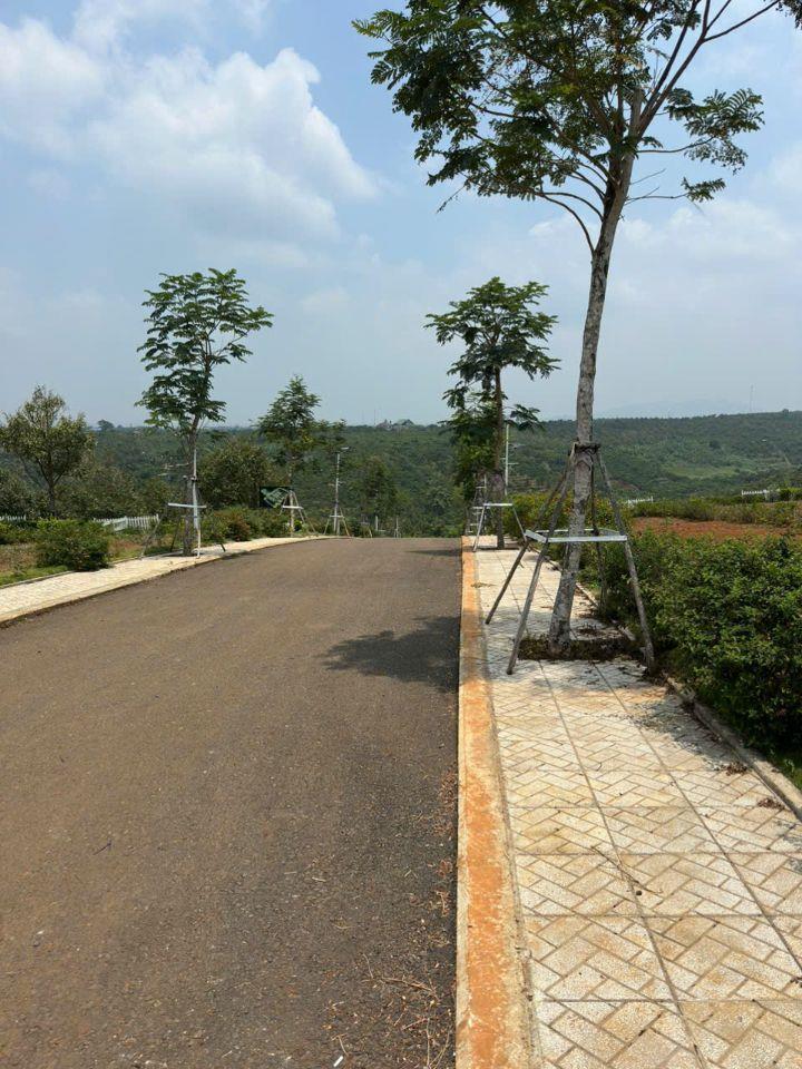 Đất đẹp Di Linh – Giá mềm đầu tư cực tốt chỉ từ 2xx triệu
