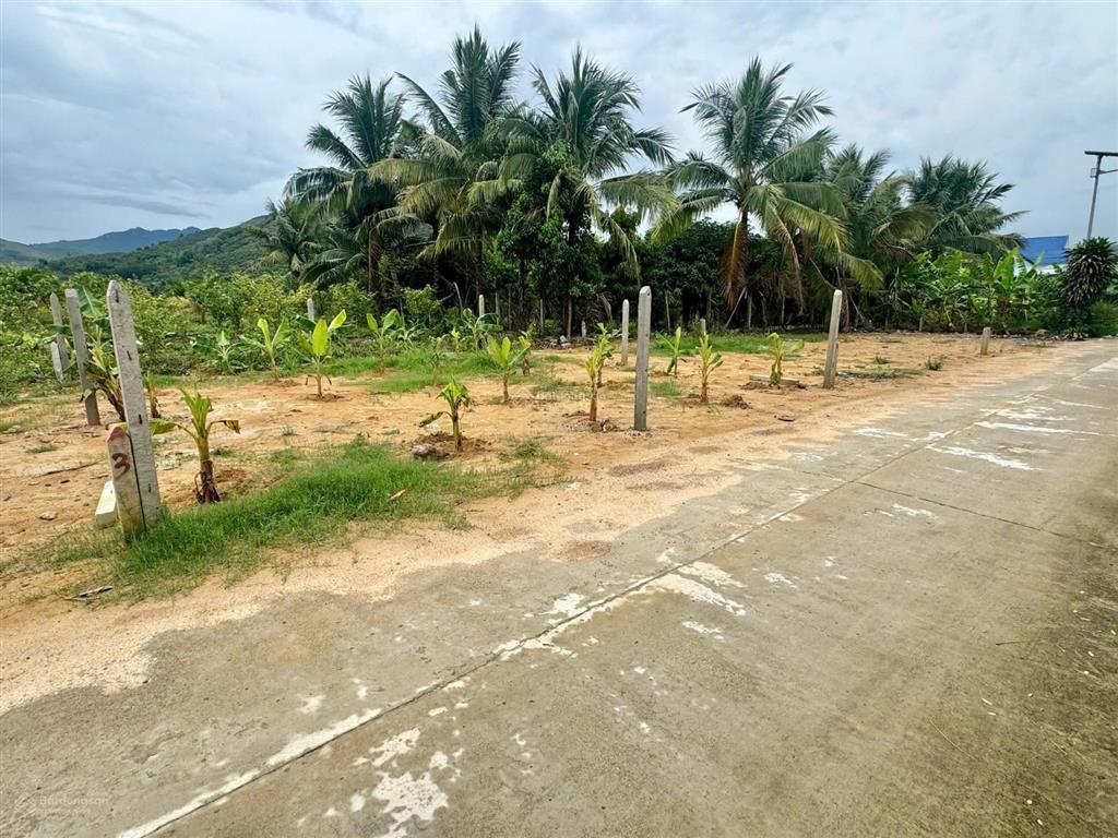 Suối cát 100m²  520 triệu  đường quy hoạch 13m  cách nha trang 10 phút  ngay khu dân cư