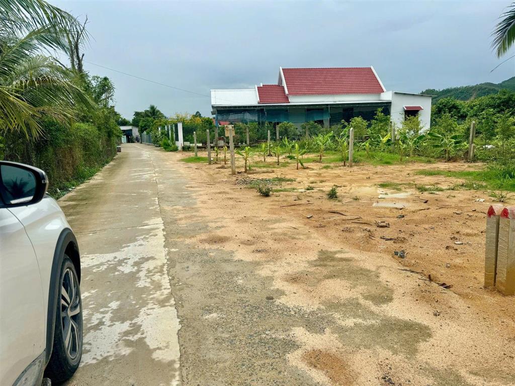 Suối cát 100m²  520 triệu  đường quy hoạch 13m  cách nha trang 10 phút  ngay khu dân cư