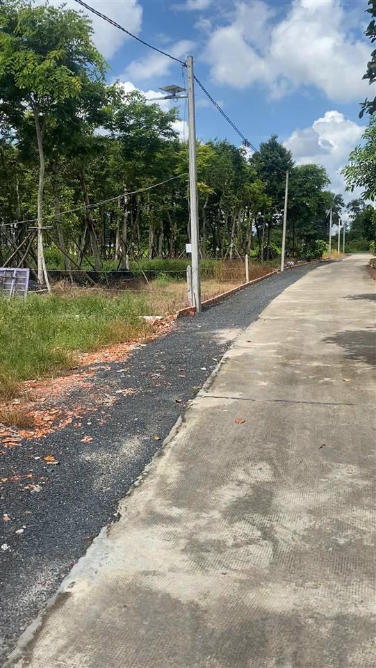 Bán gấp vườn mít 175m2 có sẵn thổ cư ngay trung tâm chơn thành, giá chỉ 300tr