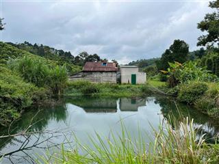 Đi nước ngoài cần bán gấp 1 hecta đường an phước 1, phường nghĩa đức, tp gia nghĩa.