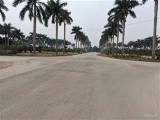 Biệt thự lô góc đường 24m hoàng vân mê linh