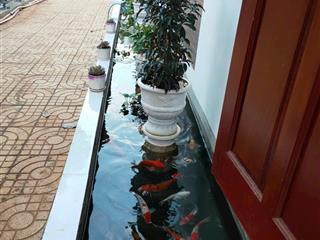 Bán nhà vườn,trang trai đầy đủ mọi tiên ich.