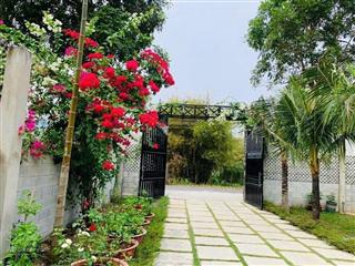 Bán nr tại trần văn chẩm, phước vĩnh an, huyện củ chi, 1,472 tỷ, 192 m2, giá tốt chỉ với