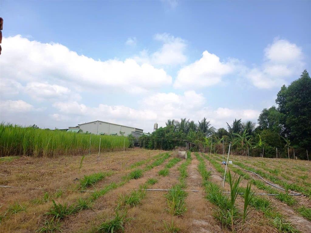 Cần bán gấp đất thổ cư, tiện xây nhà trọ, nhà vườn, đầu tư sinh lời