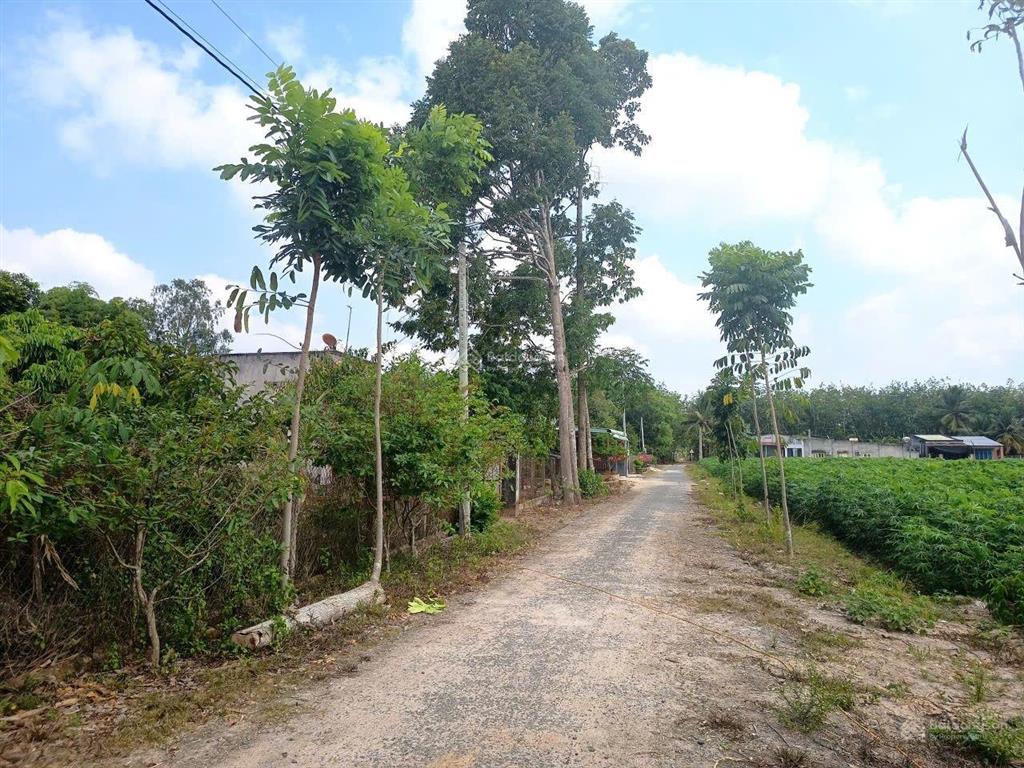 Cần bán gấp đất thổ cư, tiện xây nhà trọ, nhà vườn, đầu tư sinh lời