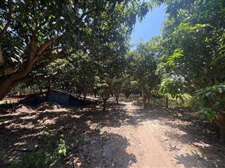 Bán đất tại tân lập 5744 m2, view đẹp, nhiều tiện ích có xoài sẵn