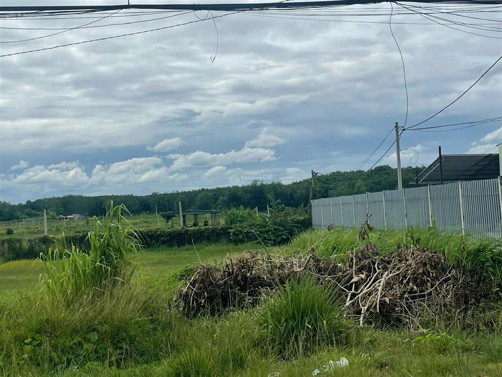 Chính chủ gửi bán đất mt tl7 an nhơn tây củ chi