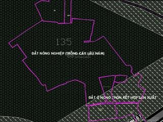 Chính chủ gửi bán đất mt tl7 an nhơn tây củ chi