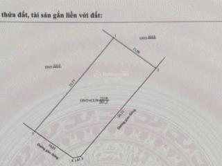 Bán đất tại thọ tân, thanh hóa