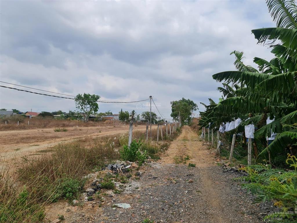 Bán đất diện tích lớn mặt tiền 766