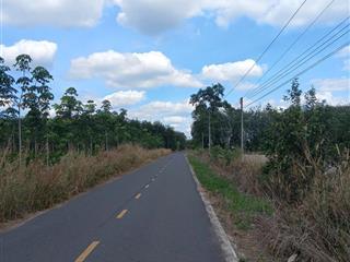 Cần bán gấp lô đất mặt tiền đường nhựa lò rèn, xã minh thạnh, huyện dầu tiếng