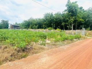 Bán đất nền giá rẻ Định An (Nay thuộc Xã Dầu Tiếng) - TP HCM