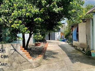 Bán dãy nhà trọ gần 300m2 xuân thới sơn, hóc môn. đang cho thuê 20tr/th