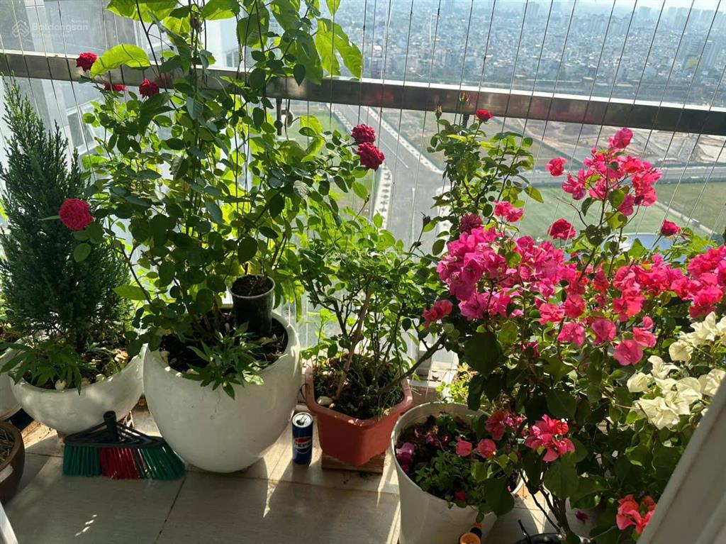 Cho thuê căn hộ 2pn, 2wc, 80m2, 15tr tại xi grand court, đt 0946 099 ***