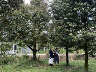 Bán nhà riêng tại xã phú đức, huyện châu thành, bến tre, 3,2 tỷ, 2156 m2, đt 0946 099 ***