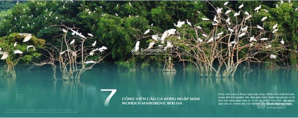 Quỹ căn đẹp và rẻ nhất dự án hạ long xanh, liền kề từ 4,5 tỷ, song lập từ 8,9 tỷ, đơn lập 15 tỷ.