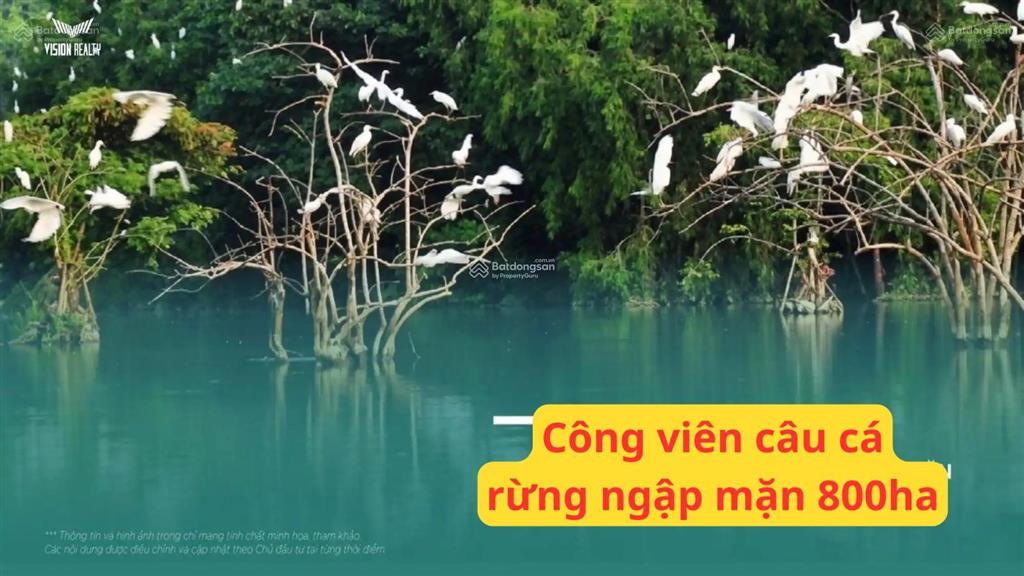 Vinhomes hạ long chính thức ra hàng đợt 1, liền kề 60m2 giá 4,6 tỷ kèm phiếu tính giá