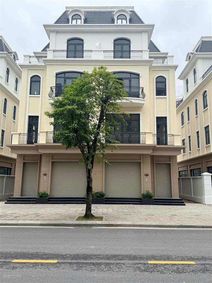 Deal quá hời ck 6 tỷ cho nhà đầu tư shophouse sao biển 145m2  đường 20m ocean park 2  bán 16.6 tỷ