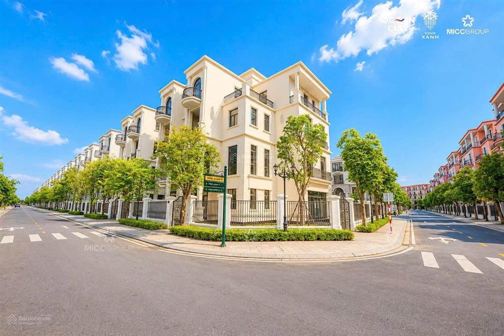 Biệt thự song lập giá tốt quỹ hàng khu vịnh xanh tại vinhomes ocpk 3.