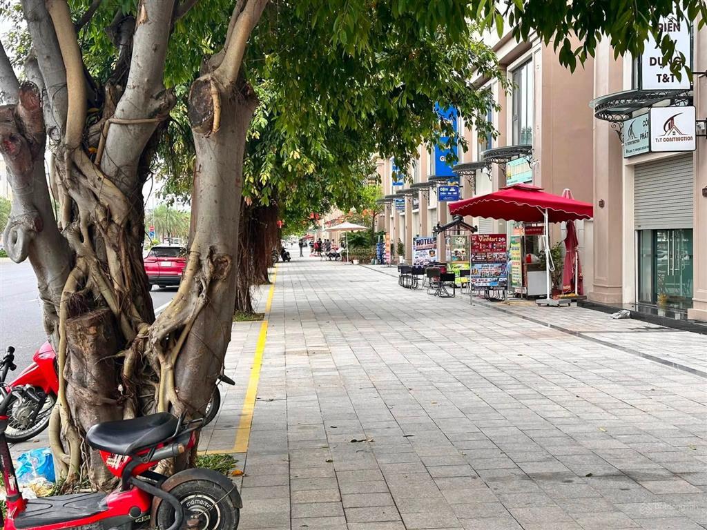 Shophouse 5 tầng vịnh thiên đường view công viên 12ha  vinhomes ocean park 3