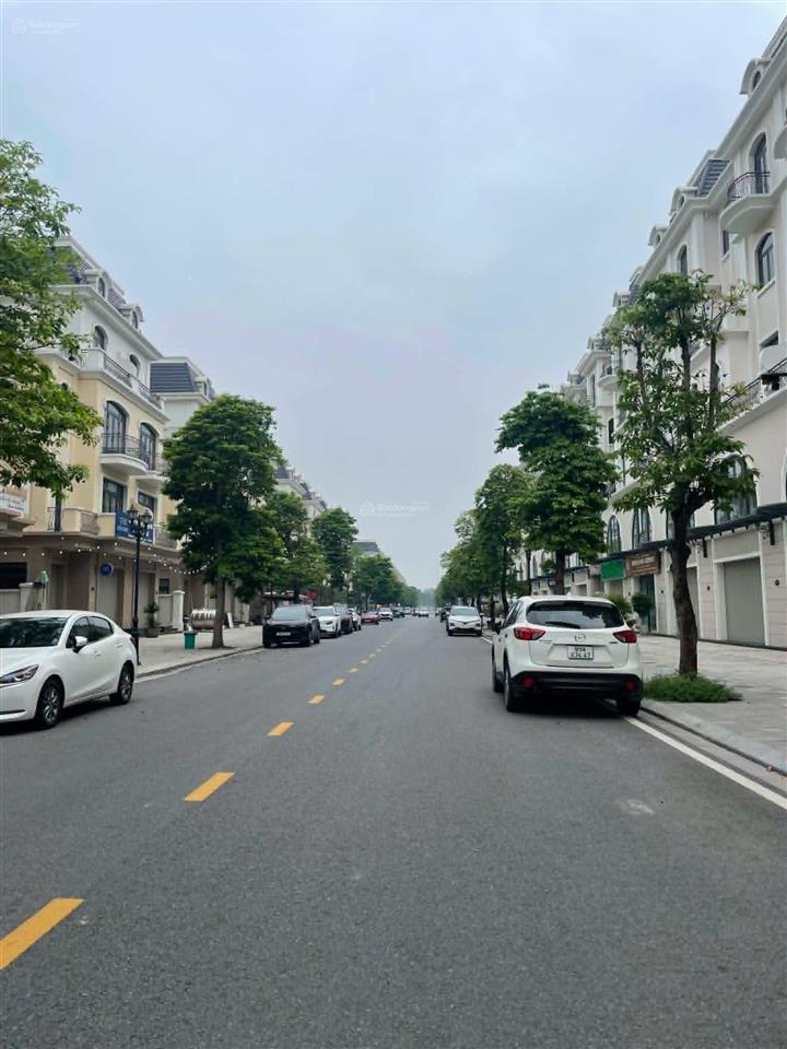 125tr/m2 shophouse xẻ khe sao biển công ty trục đường 20m vinhomes ocean park 2