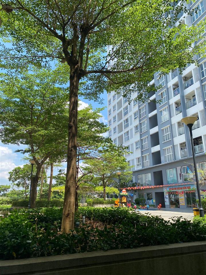 Căn góc 91.4 m2, 3 pn, 2 wc dự án hưng phát silver star, lầu cao thoáng mát, 4.7 tỷ.