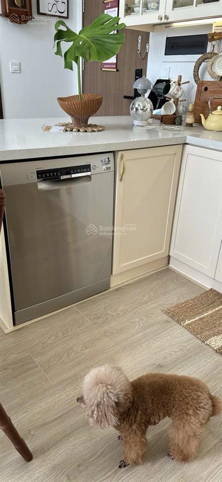 Duplex 2pn, 2wc, 85m2 tại the pegasuite 2, 16 triệu vnd, hot!