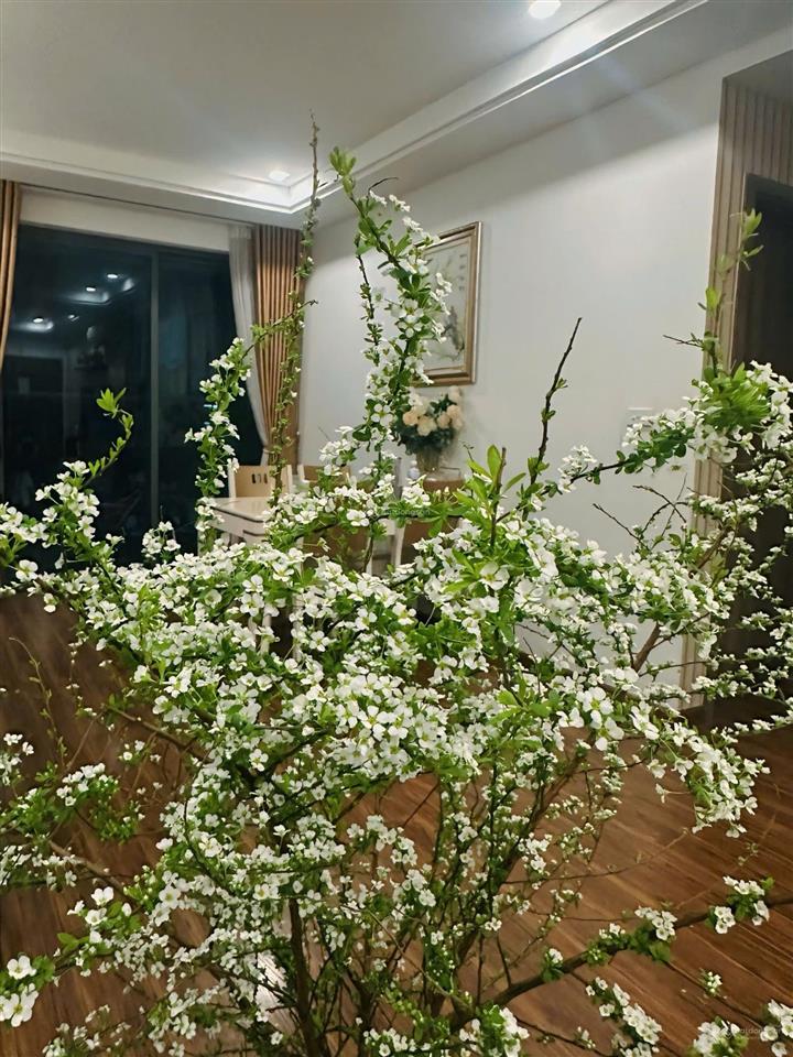 Chính chủ bán căn 2pn sky central  69m²  full nội thất đẹp  giá tốt 7,15 tỷ