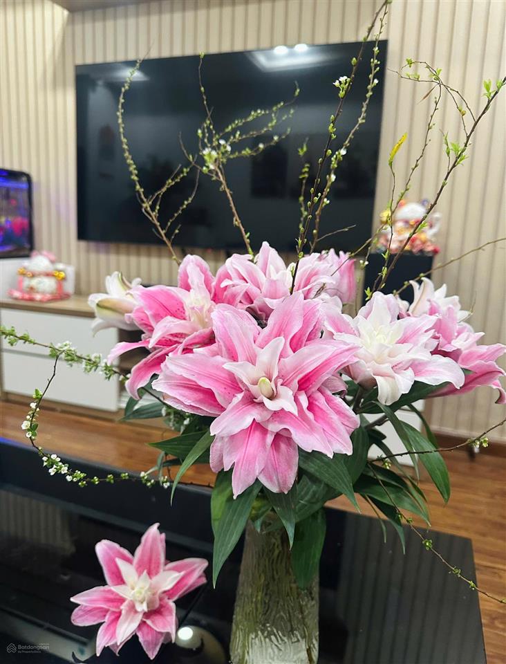 Chính chủ bán căn 2pn sky central  69m²  full nội thất đẹp  giá tốt 7,15 tỷ