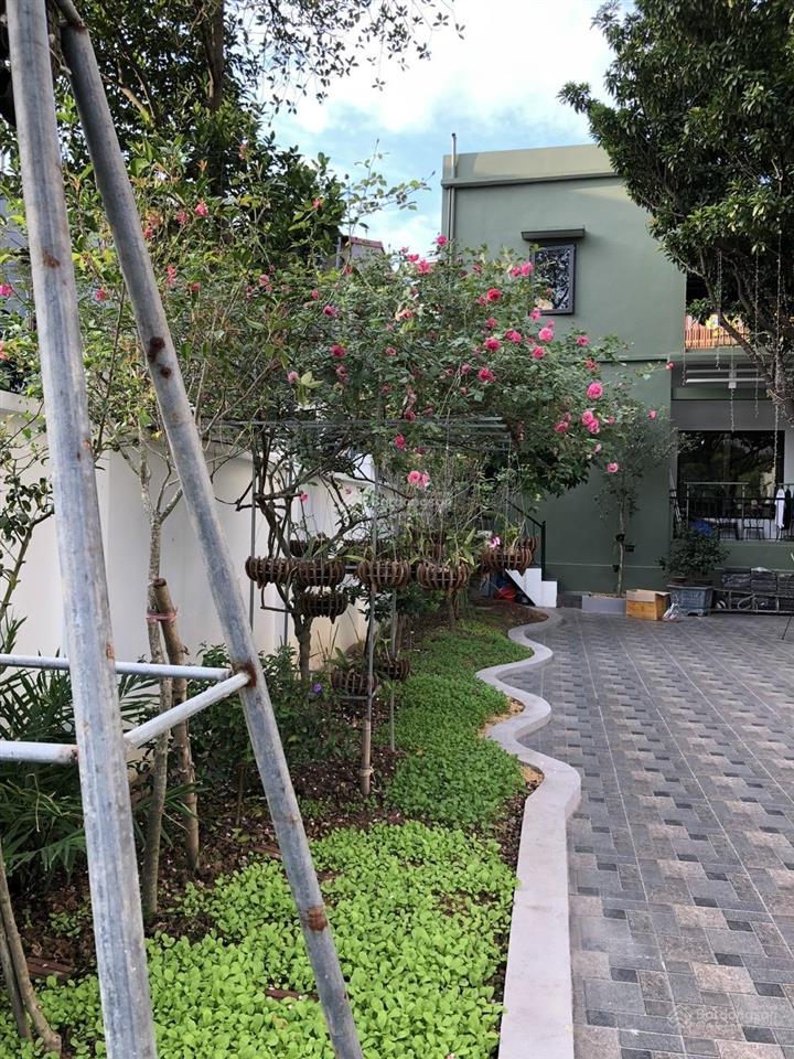 Bán nhà mặt phố tại đt 381, 10 tỷ, 250m2(10mx25m), giá tốt bao đẹp