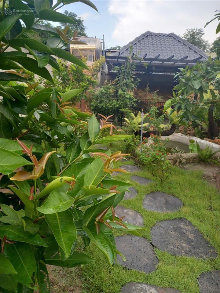 Bán gấp đất làm nhà vườn củ chi, dt 295m2, chỉ 2 tỷ 990 cạnh đường tl7, sổ sẵn