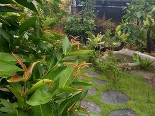 Bán gấp đất làm nhà vườn củ chi, dt 295m2, chỉ 2 tỷ 990 cạnh đường tl7, sổ sẵn