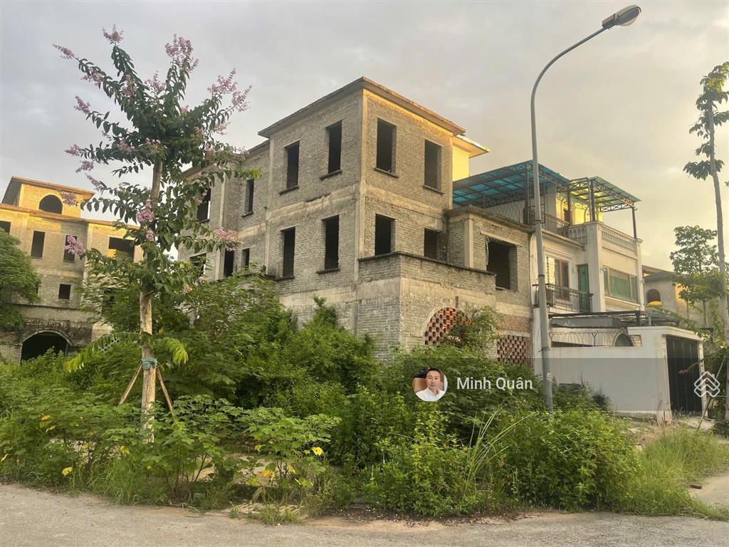 Bán biệt thự căn góc khu đô thị nam an khánh, giá chỉ 11x triệu/m².