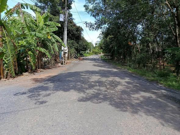 Kẹt tiền cần bán gấp lô đất đường dương công khi xuân thới thượng hóc môn 307m2 2tỷ5 sổ hồng riêng