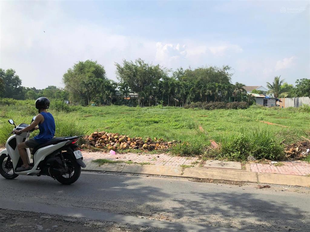 Bán gấp đất đường hồ văn tắng tân phú trung củ chi diện tích 131m2 giá 950 triệu sổ hồng riêng