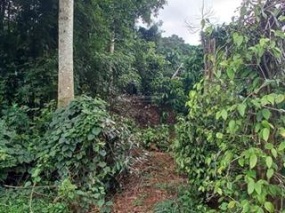 Thông báo đấu giá tài sản bảo đảm của ông trương thiện tâm (phường nam gia nghĩa, tỉnh lâm đồng)