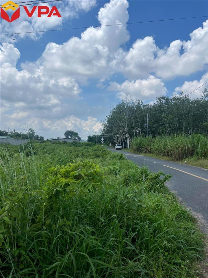 Thông báo đấu giá tài sản bảo đảm của bà cao thị hồng diễm và ông bùi văn toàn