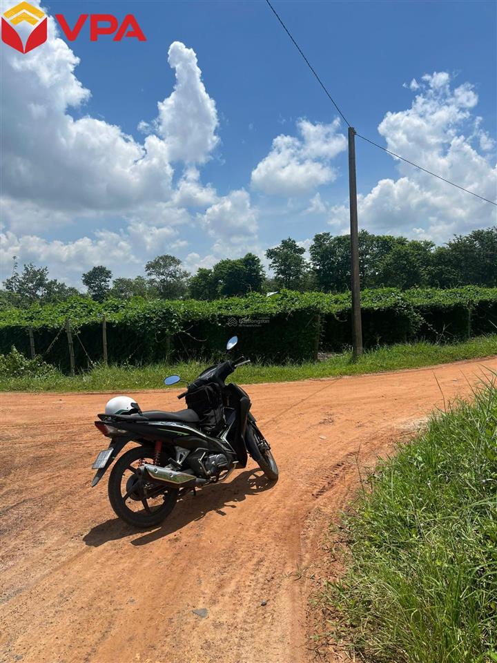 Thông báo đấu giá tài sản bảo đảm của bà cao thị hồng diễm và ông bùi văn toàn