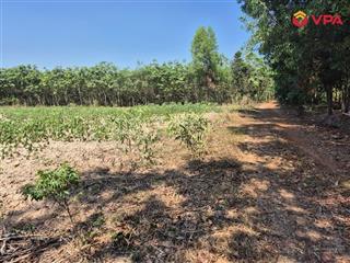 Thông báo bán của bà lê thị ly tại tỉnh bình dương (nay là thành phố hồ chí minh)