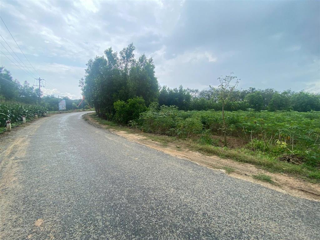 Thông báo đấu giá tài sản bảo đảm của khách hàng nguyễn văn anh tại msb