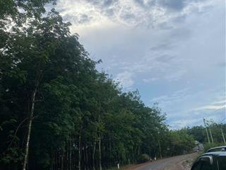 Thông báo đấu giá tài sản bảo đảm của ông nguyễn công tường (tỉnh đồng nai)