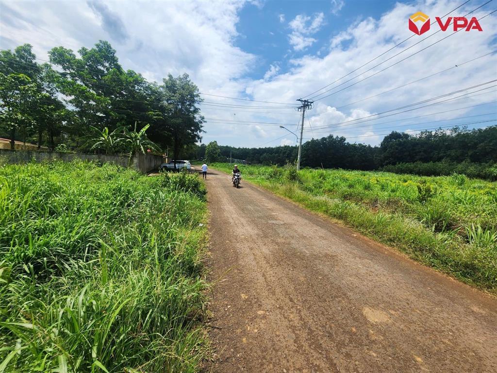 Thông báo đấu giá tài sản của bà lê thị trang (đồng nai)