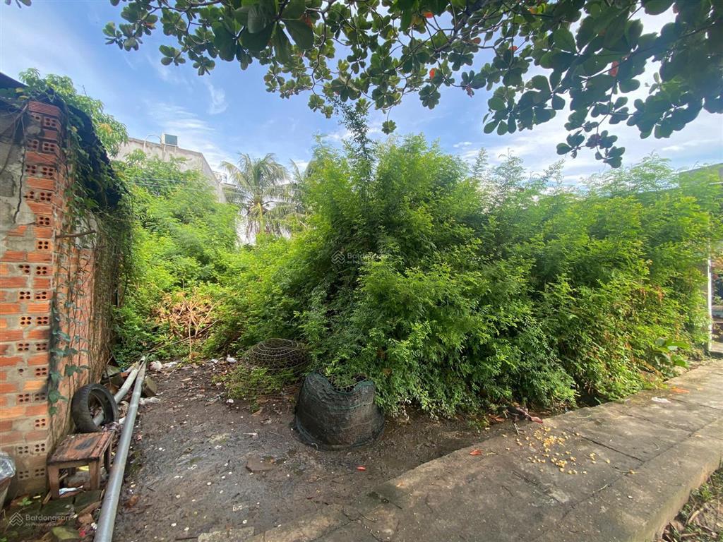 Thông báo đấu giá tài sản của bà trần thị thanh quý cùng ông trương quốc công