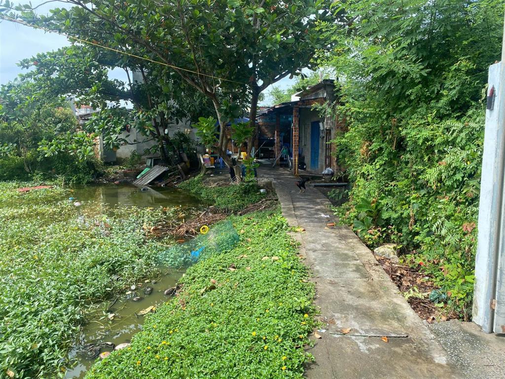 Thông báo đấu giá tài sản của bà trần thị thanh quý cùng ông trương quốc công