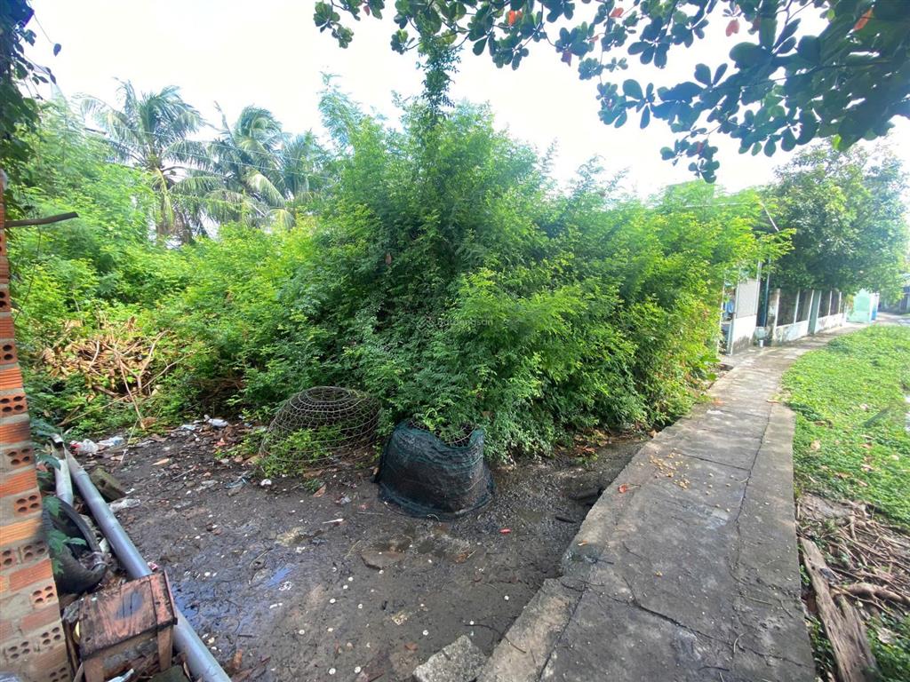 Thông báo đấu giá tài sản của bà trần thị thanh quý cùng ông trương quốc công