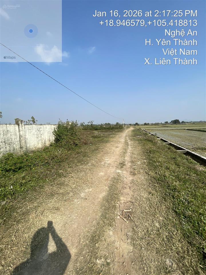 Thông báo đấu giá tài sản của ông lê văn bang và bà phạm hồng ngọc (thửa 2103)