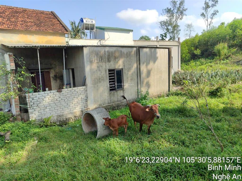 Thông báo đấu giá tài sản của ông trương văn cường và bà nguyễn thị mến