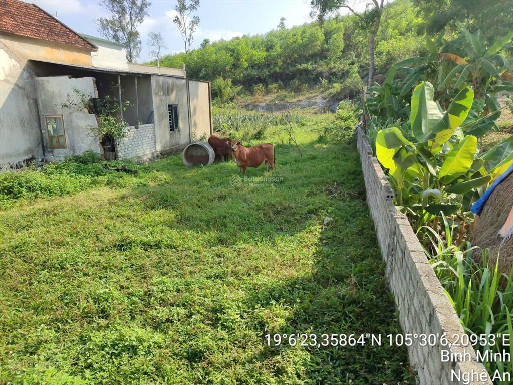 Thông báo đấu giá tài sản của ông trương văn cường và bà nguyễn thị mến