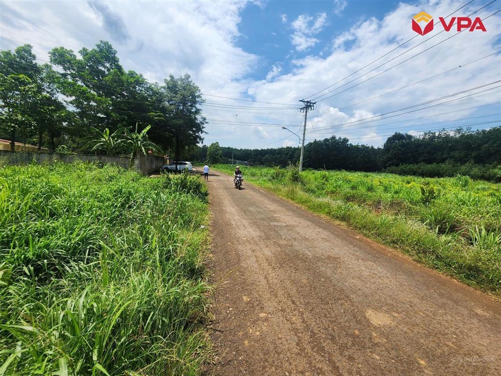 Tài sản bà lê thị trang (đồng nai) xã tân hưng, huyện đồng phú, tỉnh bình phước